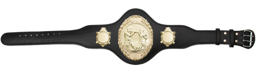 BOXING CHAMPIONSHIP BELT-PLT286/G/BOXG-4 COLOURS